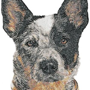 Australian Cattle Dog