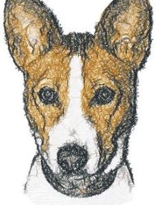 Basenji