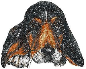 Basset huvud