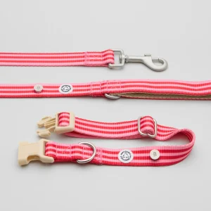 Kit med halsband